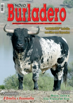 Capa da revista Novo Burladero nº 228, Outubro de 2007