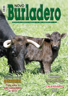 Capa da revista Novo Burladero nº 266, Janeiro de 2011
