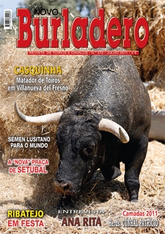 Capa da revista Novo Burladero nº 272, Julho de 2011