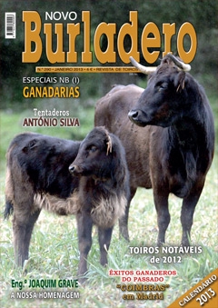 Capa da revista Novo Burladero nº 290, Janeiro de 2013
