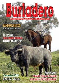 Capa da revista Novo Burladero nº 294, Maio de 2013