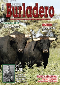 Capa da revista Novo Burladero nº 295, Junho de 2013