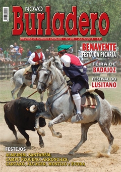 Capa da revista Novo Burladero nº 296, Julho de 2013