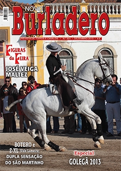 Capa da revista Novo Burladero nº 301, Dezembro de 2013