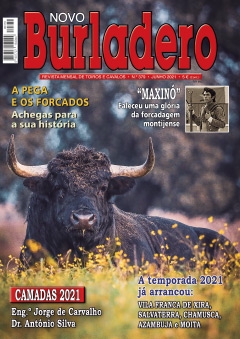 Capa da revista Novo Burladero nº 379, Junho de 2021